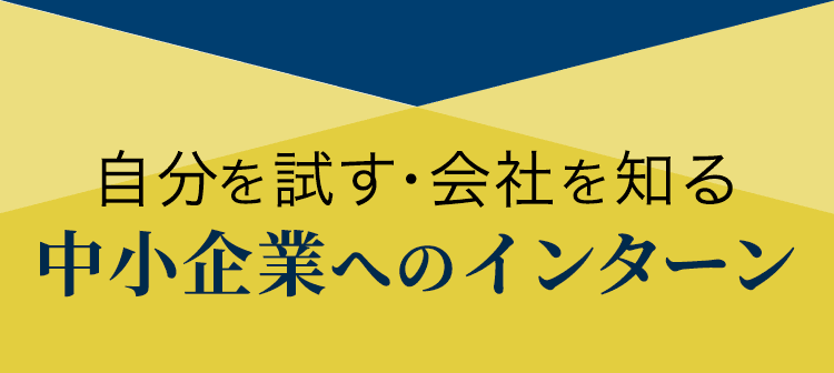 自分を試す・会社を知る　中小企業へのインターン